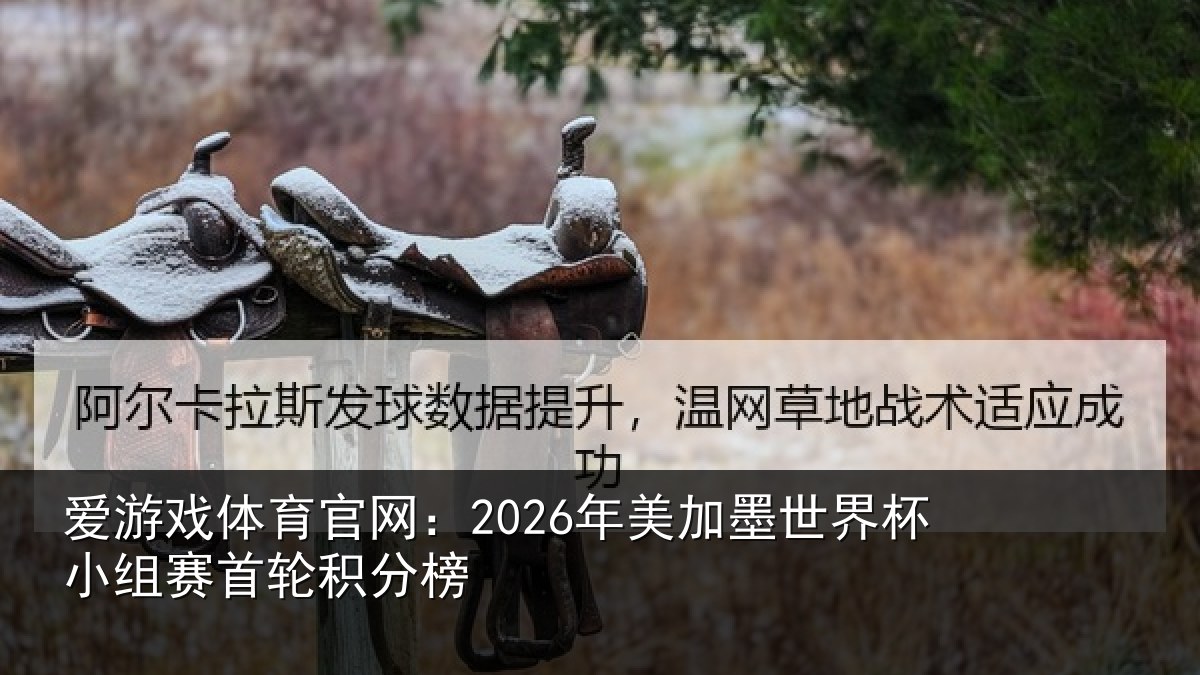 爱游戏体育官网:2026年美相关情况首轮积分榜
