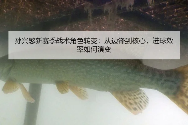 sun-xing-min-xin-sai-ji-zhan-shu-jue-se-zhuan-bian-cong-bian-feng-dao-he-xin-jin-qiu-xiao-lv-ru-he-yan-bian-2-984.jpg